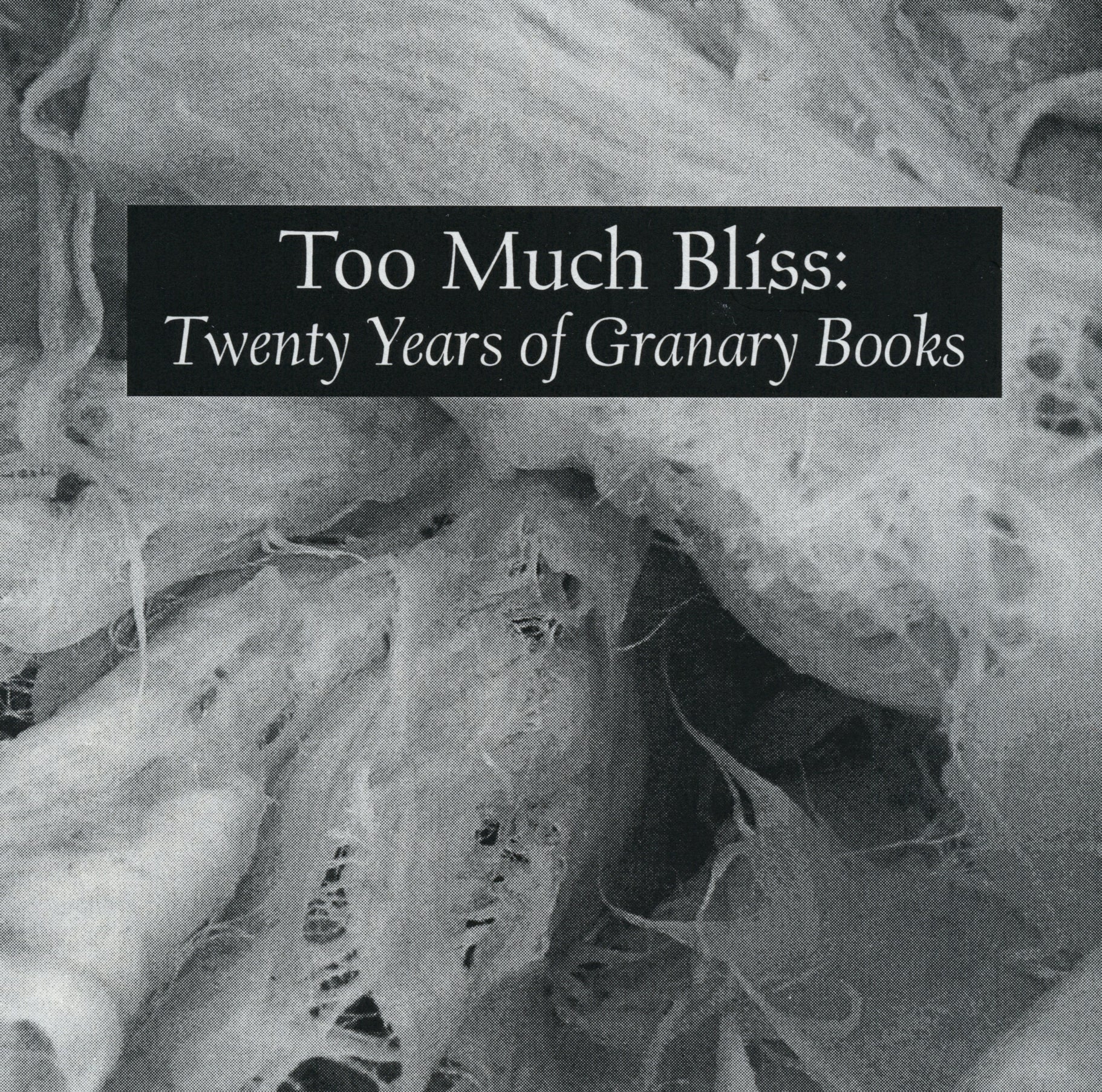 Too Much Bliss: Twenty Years of Granary Books