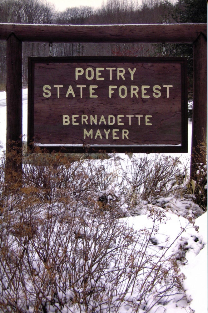 Poetry State Forest. Bernadette Mayer. New Directions Books. 2008.