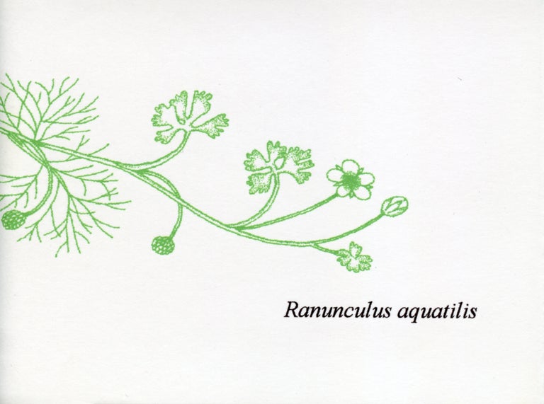 Ranunculus Aquatilis. Thomas A. Clark. Moschatel Press. 2004.