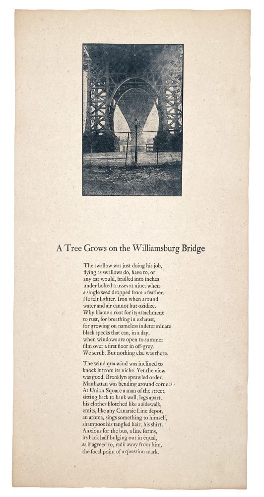 A Tree Grows on the Williamsburg Bridge. Joe Elliot. N.p. N.d.