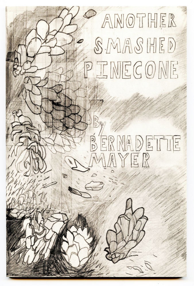 Another Smashed Pinecone. Bernadette Mayer. United Artists Books. 1998.