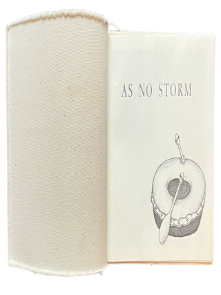 As No Storm, or the Any Port Party. Johanna Drucker. Rebis Press. 1975.