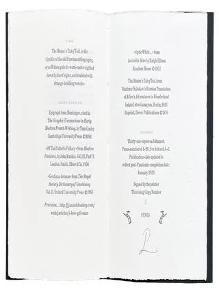 Pathetic Fallacy: from Allusive Typography to Cancel Culture, An Extrapolation from Word-Fetishism in Edmund Wilson's Night Thoughts. Philip Gallo. The Hermetic Press. 2023.