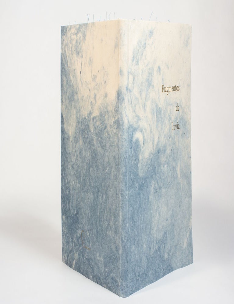 Fragmentos de Lluvia. Mar&iacute;a Carolina Ceballos. Canto Press. 2021.