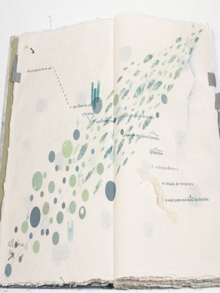 Fragmentos de Lluvia. María Carolina Ceballos. Canto Press. 2021.