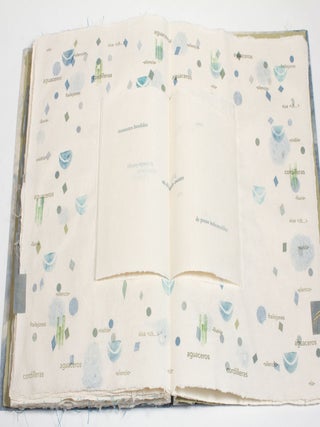Fragmentos de Lluvia. Mar&iacute;a Carolina Ceballos. Canto Press. 2021.