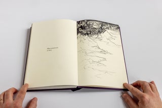 You See What You See. Lois Elaine Griffith. Granary Books. 2025.