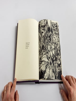 You See What You See. Lois Elaine Griffith. Granary Books. 2025.
