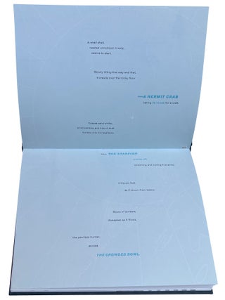 Entries. Emily McVarish. Granary Books. 2025.