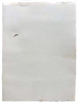Not An Exit. Bill Berkson, Leonie Guyer. Jungle Garden Press. 2011.