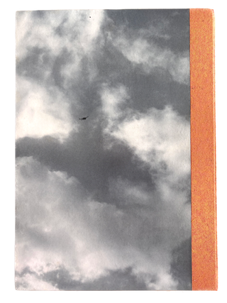 Emerging Sentience. Johanna Drucker, Brad Freeman. JAB Books. 2001.