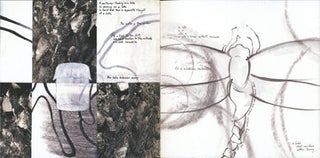 The Lake. Lyn Hejinian, Emilie Clark. Granary Books. 2004.
