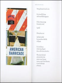 Paradigm of the Tinctures. Alan Halsey, Steve McCaffery. Granary Books. 2007.
