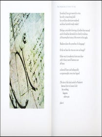 Paradigm of the Tinctures. Alan Halsey, Steve McCaffery. Granary Books. 2007.