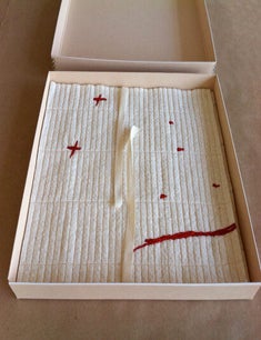 The Dickinson Composites. Jen Bervin. Granary Books. 2010.