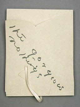 The Gorgeous Nothings: Emily Dickinson’s Envelope Poems. Jen Bervin, Marta Werner. Granary Books. 2012.