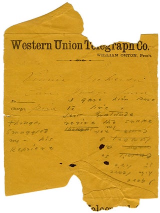 The Gorgeous Nothings: Emily Dickinson’s Envelope Poems. Jen Bervin, Marta Werner. Granary Books. 2012.