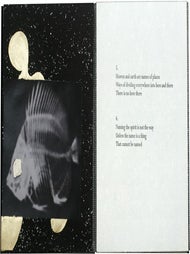 The Book of the Anonymous. John Yau, Max Gimblett. Granary Books. 2012.