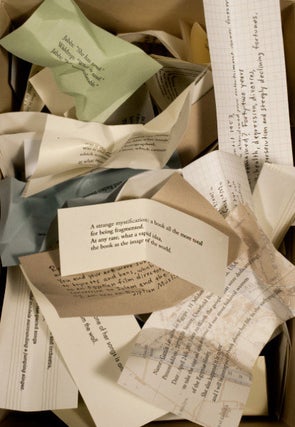 A Geniza. Raphael Rubinstein. Granary Books. 2015.