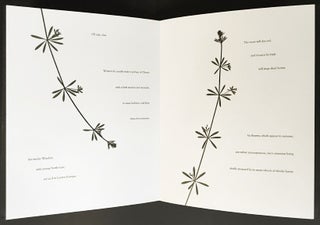 The Arctic Plants of New York City. James Walsh. Granary Books. 2016.