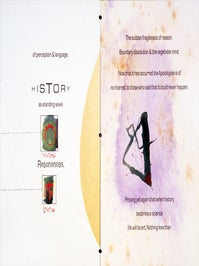 Synesthesia. Timothy C. Ely, Terence McKenna. Granary Books. 1992.
