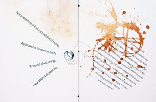 Synesthesia. Timothy C. Ely, Terence McKenna. Granary Books. 1992.