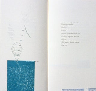 Mettle. Kimberly Lyons, Ed Epping. Granary Books. 1996.