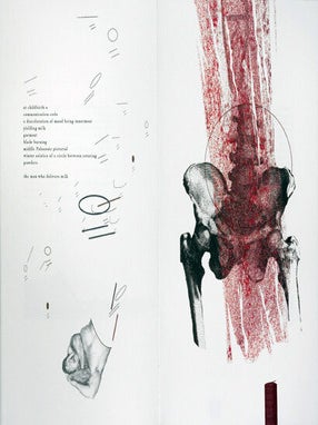 Mettle. Kimberly Lyons, Ed Epping. Granary Books. 1996.