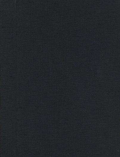 Kin. Anne Waldman, Susan Rothenberg. Granary Books. 1997.
