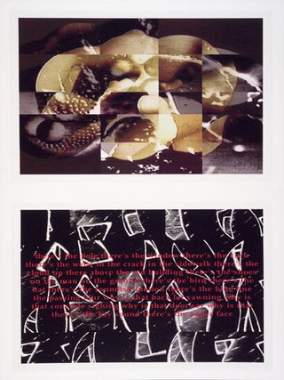 If It Rained Here. Julie Harrison, Joe Elliot. Granary Books. 1997.