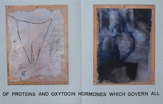 Vulva’s Morphia. Carolee Schneemann. Granary Books. 1998.