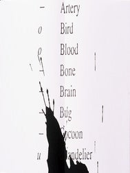 Roar Shocks. David Rathman. Granary Books. 1998.